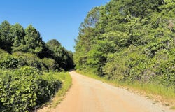Creek Road lot: 1, Ashland, AL 36251
