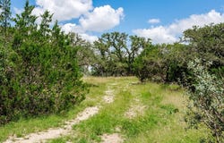 1632 Link lot: 12, Doss, TX 78618