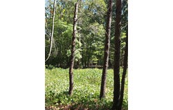 1075 Augusta Hicks Road, Walnut Cove, NC 27052