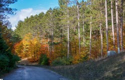 W TIMBER LANE, EMPIRE, MI 49630
