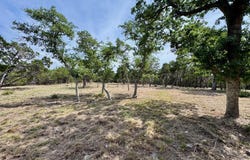 Windy Hills Rd, Dripping Springs, TX 78620