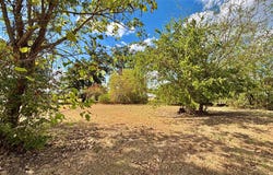 169 Navajo, Quitman, TX 75783