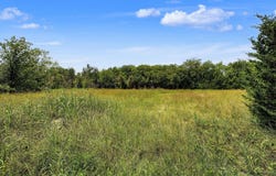 4+ Acres County Road 4435, Trenton, TX 75490