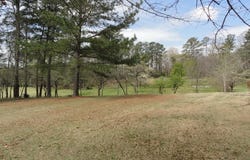 1624 LAKE DRIVE lot: 1, CENTER POINT, AL 35215