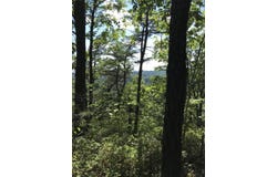 South Fork, Stanton, KY 40380
