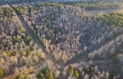 Punkin Flat Road, Marshall, AR 72650