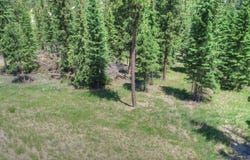 11292 Trailside Loop, Lead, SD 57754