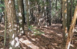 Sunset lot: 539, Spencer, TN 38585