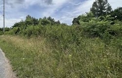 SADDLERIDGE Drive, Speedwell, TN 37870