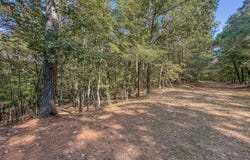 County Road 404, Lafe, AR 72436