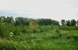 County Rd 20, Hanska, MN 56041