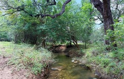 FM 2239, Paige, TX 78659