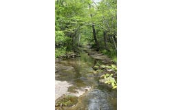 County Road 350, Drury, MO 65638