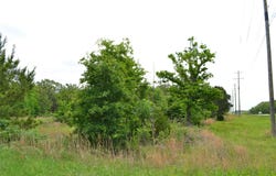 S HWY 69, Alba, TX 75410