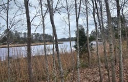 251 Alligator Loop Road, Merritt, NC 28556