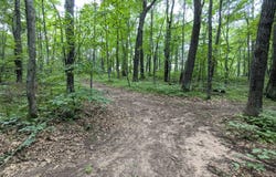 Fosmo Drive lot: 2, Webster, WI 54893