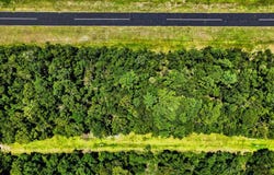 SW 102nd Ct, Cedar Key, FL 32625