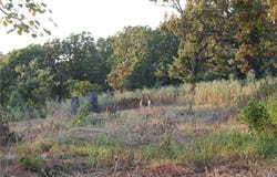 1667 Madison 6345, Wesley, AR 72773
