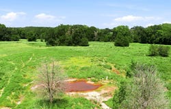 10150 FM 2709, EUSTACE, TX 75124