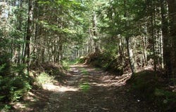 KARY MOUNTAIN ROAD, Duane, NY 12953