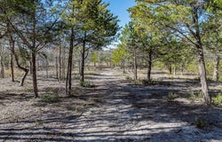 Bauer Rummel, Round Top, TX 78954
