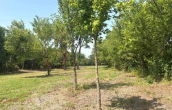 0000 FM 902 Fm 902, Howe, TX 75459