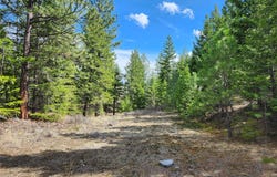 107 Mountain Road, Plains, MT 59859