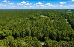 Forest View Lane lot: 42, Little Plymouth, VA 23091