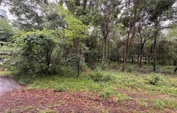 Pecan Tree Lane, Montgomery, TX 77316