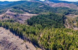 462 E Ridge (Tract 14) Dr, St. Maries, ID 83861