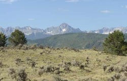 Terrace Drive, Ridgway, CO 81432