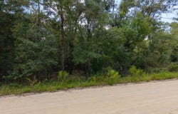 160TH TERR, McAlpin, FL 32060