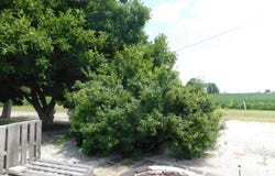 4306 E 925 N, Madison, IN 47250
