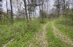 Melzoni Road, Pennington Gap, VA 24277