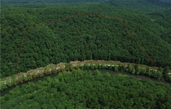 Duck Road, Duck, WV 25063