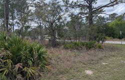 MAZETTE Road, WEEKI WACHEE, FL 34613
