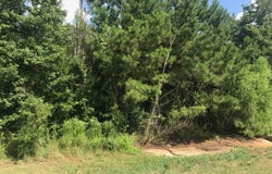 S Hwy 59, Linden, TX 75563
