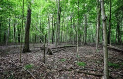 VL Black River Rd, Bangor, MI 49013