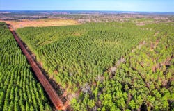 Old Thomson Road, Wrens, GA 30833