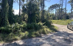 Slash Pine Trail, Fort Pierce, FL 34945