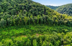 Hartland Road, Clay, WV 25043