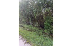 V-197 86th RD N, Palm Beach, FL 33412