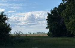 305 Roberts Street, Webster, ND 58382