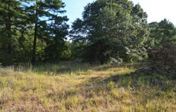 411418 E1920 Rd, Antlers Oklahoma, OK 74523