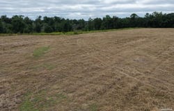 7400 Mcelhaney Rd, Century, FL 32535