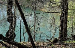 1963 State Route Pp, Tecumseh, MO 65760