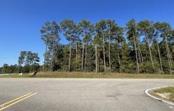Highway 49, Wiggins, MS 39577
