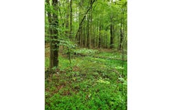 Jones Bend Rd., PARIS, TN 38242
