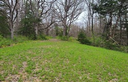 Highway T, Milan, MO 63556