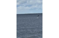 9 Hammock Cove Rd, Eastpoint, FL 32328